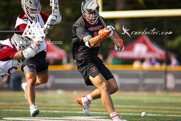 Tigers vs Colgate Fall 2024 - 2135.jpg