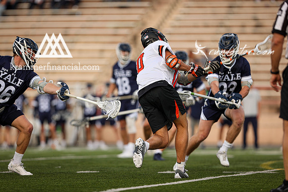 Tigers vs Bulldogs Ivy Tourney 2024 - 0938.jpg