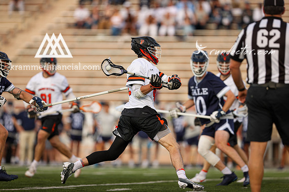 Tigers vs Bulldogs Ivy Tourney 2024 - 1014.jpg