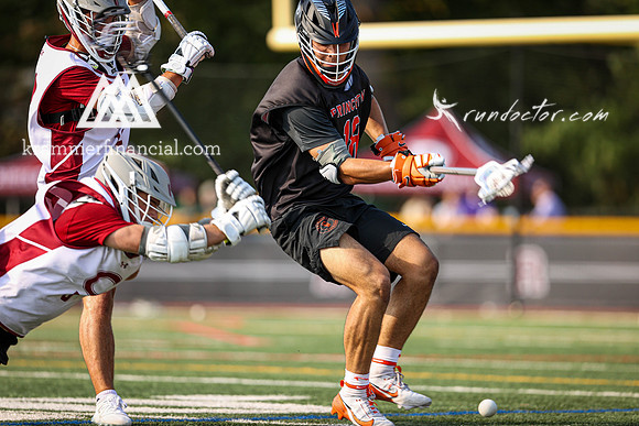 Tigers vs Colgate Fall 2024 - 2136.jpg