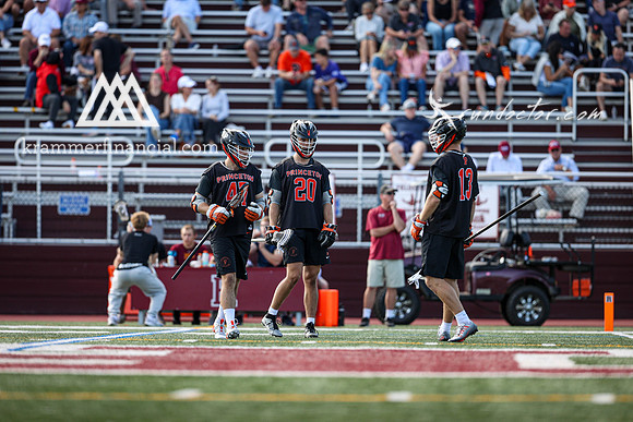 Tigers vs Colgate Fall 2024 - 2154.jpg