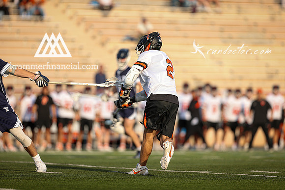 Tigers vs Bulldogs Ivy Tourney 2024 - 1950.jpg