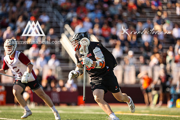 Tigers vs Colgate Fall 2024 - 1583.jpg