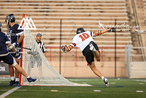 Tigers vs Bulldogs Ivy Tourney 2024 - 3414.jpg