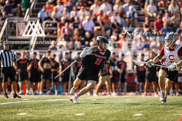 Tigers vs Colgate Fall 2024 - 1152.jpg