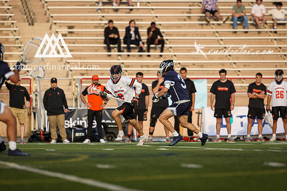 Tigers vs Bulldogs Ivy Tourney 2024 - 2051.jpg