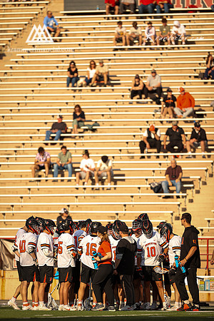 Tigers vs Bulldogs Ivy Tourney 2024 - 1523.jpg
