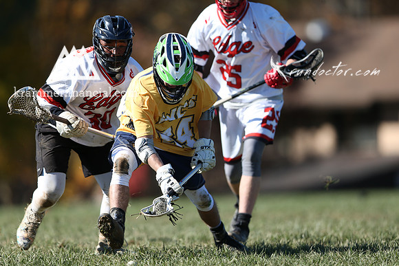 2022s WCS Towson Fall 2018 - 1102.jpg