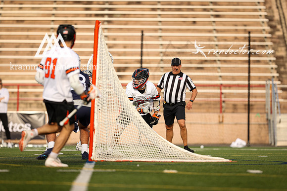 Tigers vs Bulldogs Ivy Tourney 2024 - 1130.jpg