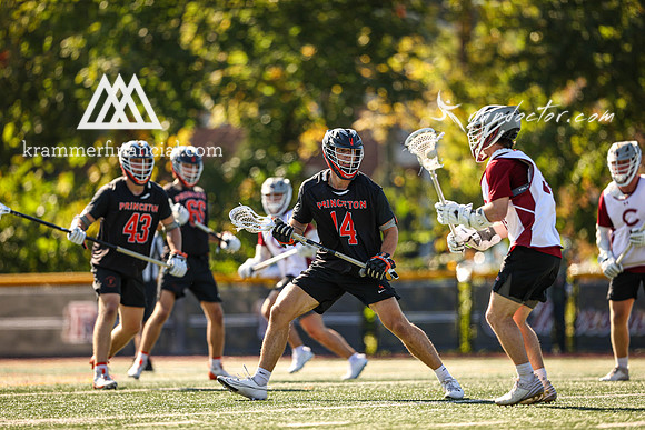 Tigers vs Colgate Fall 2024 - 1259.jpg