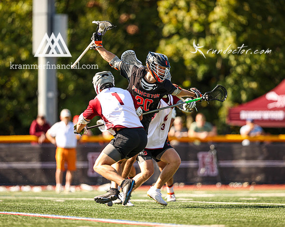 Tigers vs Colgate Fall 2024 - 1302.jpg