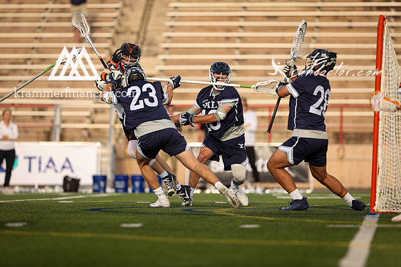 Tigers vs Bulldogs Ivy Tourney 2024 - 1141.jpg