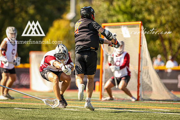 Tigers vs Colgate Fall 2024 - 1104.jpg