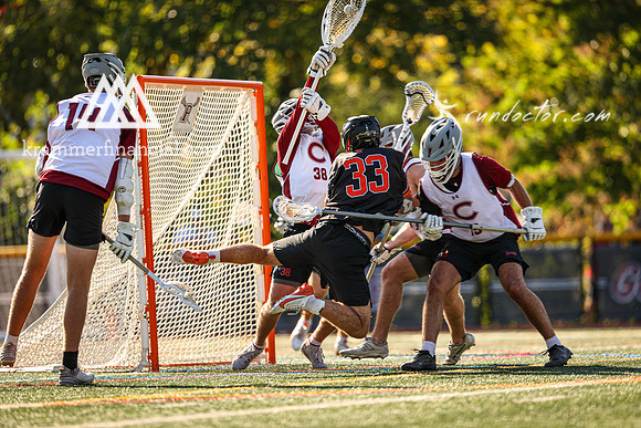 Tigers vs Colgate Fall 2024 - 1994.jpg
