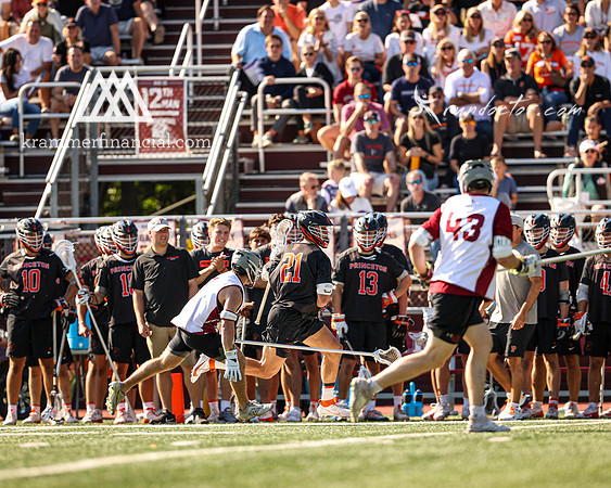 Tigers vs Colgate Fall 2024 - 1065.jpg