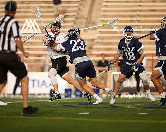 Tigers vs Bulldogs Ivy Tourney 2024 - 1143.jpg