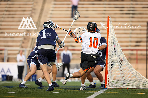 Tigers vs Bulldogs Ivy Tourney 2024 - 3407.jpg